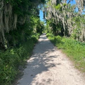 ~FOLLOW ME~ my first follow game! MORE blues to follow now check in!